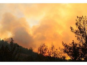 Balıkesir'de orman yangını