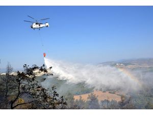 Antalya'da orman yangını