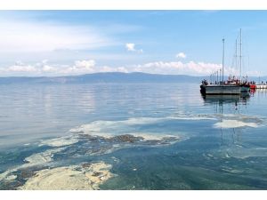 Sahillerin kirlilik haritası çıkarılacak