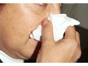 Orta Amerika'da deng humması salgını