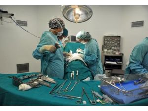 Kemik iliği nakli için bağışçı aranıyor