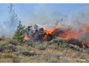 Hatay'da orman yangını