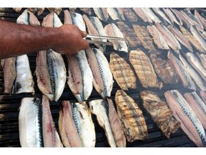 Haftada bir kez balık yemek hastalıklardan koruyor