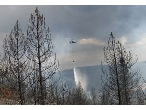 Ormanlarımız dikkatsizlik ve ihmal sonucu yanıyor
