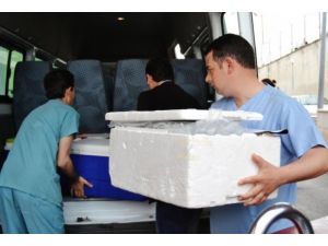 Yurt dışında organ nakli Türkiye'den 4 kat daha pahalı