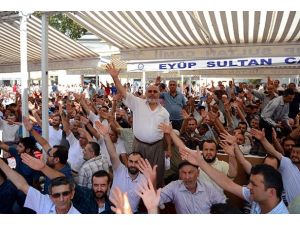 Katliam protestoları sürüyor