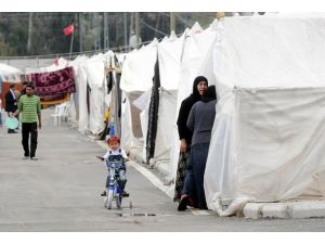 Doğdukları topraklara dönecekleri günü bekliyorlar