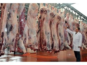 ESK kombinalarını kasaplara açacak