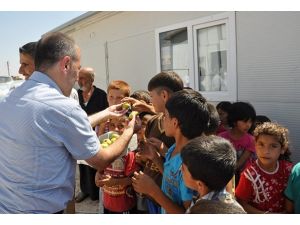 Suriye'de yetimhane köyleri oluşturuluyor