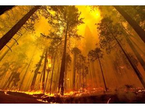 ABD'de Yosemite Milli Parkı yanıyor