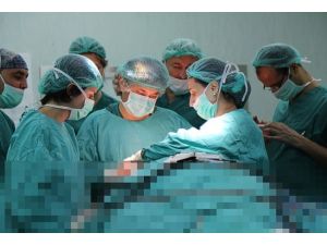 Türkiye'nin 6'ncı yüz naklinin görüntüleri basınla paylaşıldı