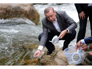 Fırtına Deresi'ne yavru alabalık bıraktı