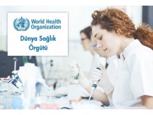 DSÖ Suriye'de yeni müdahale yöntemi oluşturacak