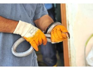 "Ehil yılan yakalayıcısı" aranıyor