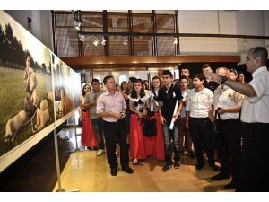 "Ocak-Mehmetçiğin Dünyası" sergisine yoğun ilgi