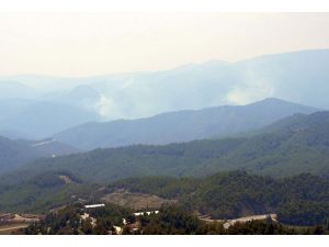 Lazkiye'de orman yangını