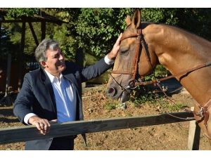 Hediye atın fotoğraflarını paylaştı