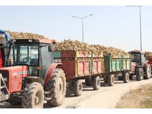 Adapazarı şeker fabrikası satıldı