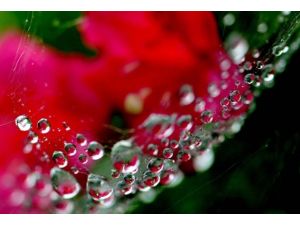 Su damlaları artık kontrol altında