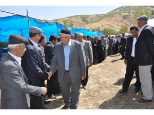 Kan davaları için "resmi komisyon"önerisi