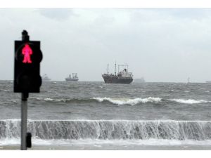 Usagi tayfunu alarmı