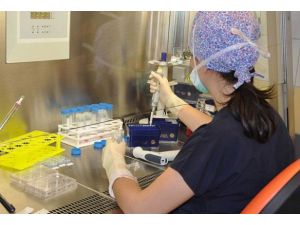 Tip 1 diyabet için umut ışığı