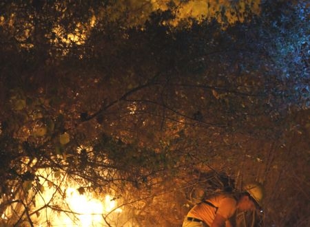 Marmariste Orman Yangını