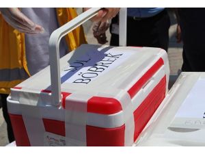 17 ilde organ kaçakçılığı operasyonu