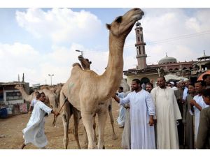 Mısır'da Kurban Bayramı hazırlıkları