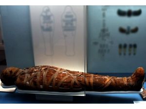 Mısır'da firavun mumyası bulundu