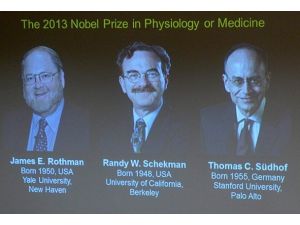Nobel Tıp Ödülü hücre araştırmalarına verildi