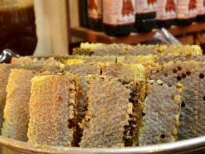 Türk balına dünya ikincilik ödülü