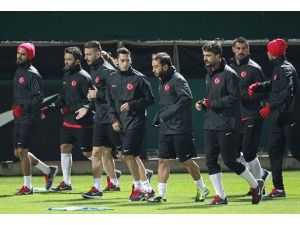 A Milli Takım Estonya'ya gitti