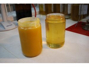 Sahte balda şimdi de 52 plakalı araç oyunu