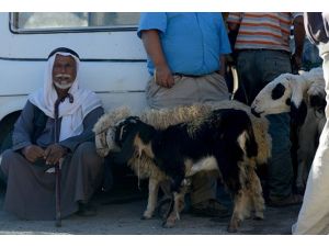 Kudüs "kurbana" hasret