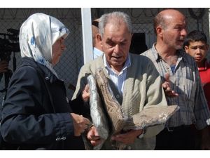 Kamplarda "bayram" ve "kış" hazırlıkları