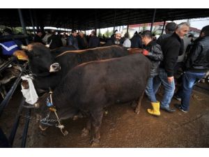 Et ve Süt Kurumu kalan kurbanlıkları satın alacak