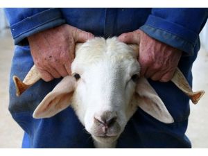 Aceleyle kendinizi kurban etmeyin