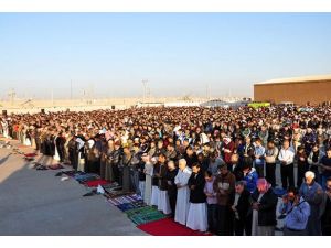 Konteyner kentlerde buruk bayram