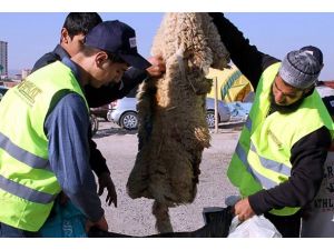 Vatandaş kurban derilerini istediği yere verdi