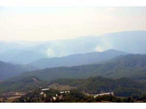 Türkiye-Suriye sınırında orman yangını