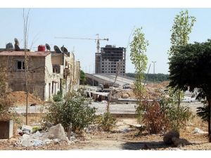 Suriye'de  50 kişi öldü