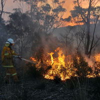 AVUSTRALYA'DA OHAL İLAN EDİLDİ!