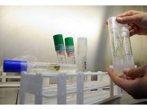 Çin'in Ar-Ge bütçesi 164 milyar dolara ulaştı