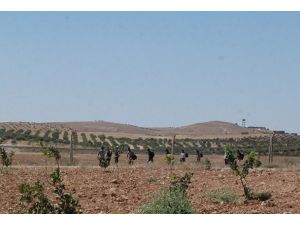 Suriye sınırında kaçakçılara müdahale