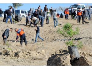 Depremde ölenler 644 fidanla anıldı