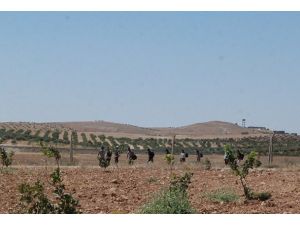 Sınırda kaçakçılara müdahale