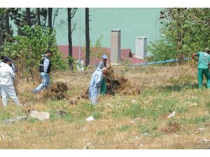 İstanbul'da mühimmat araması