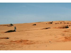 Umuda yolculuk çölde son buldu