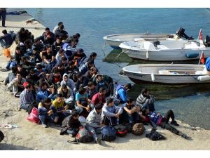 Bodrum'da kaçak operasyonu